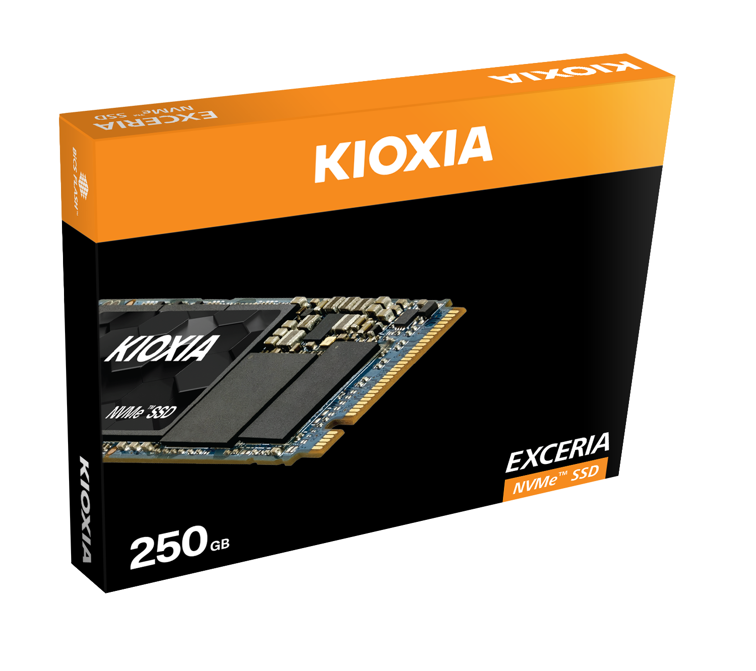 250GB KIOXIA EXCERIA NVMe M.2 3D 1700/1200 MB/sn (LRC10Z250GG8)